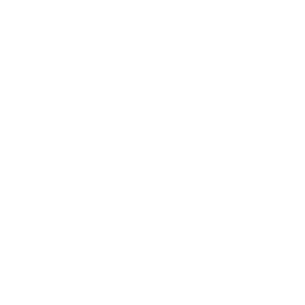 缺乏專業團隊指導